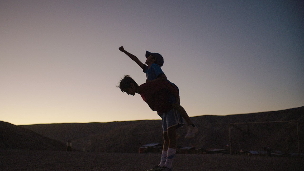 Estrellas del Desierto