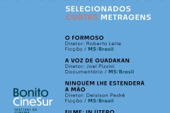 2024-06-10-filmes-selecionados-08-ms.jpg