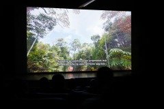 2025-07-28-mostra-ambiental-7