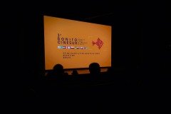 2025-07-28-mostra-ms-41