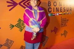 2025-07-27-mostra-sul-americana-2