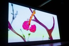 2025-07-29-mostra-sul-americana-20