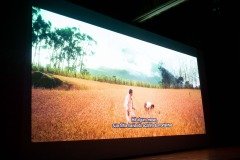 2025-07-29-mostra-sul-americana-24