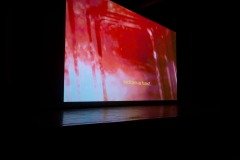 2025-07-31-mostra-sul-americana-19