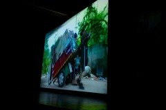 2025-07-31-mostra-sul-americana-25