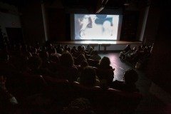 2025-07-31-mostra-sul-americana-26