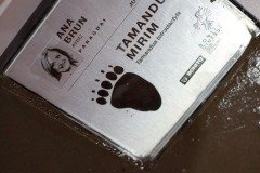 2025-07-28-pegadas-memoria-43