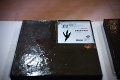 2025-07-28-pegadas-memoria-51