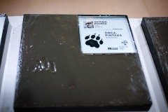 2025-07-28-pegadas-memoria-52