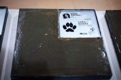 2025-07-28-pegadas-memoria-53