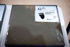 2025-07-28-pegadas-memoria-54