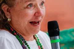 2025-08-02-seminario-mesa-representacoes-femininas-11