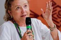 2025-08-02-seminario-mesa-representacoes-femininas-12