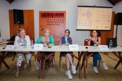 2025-08-02-seminario-mesa-representacoes-femininas-33