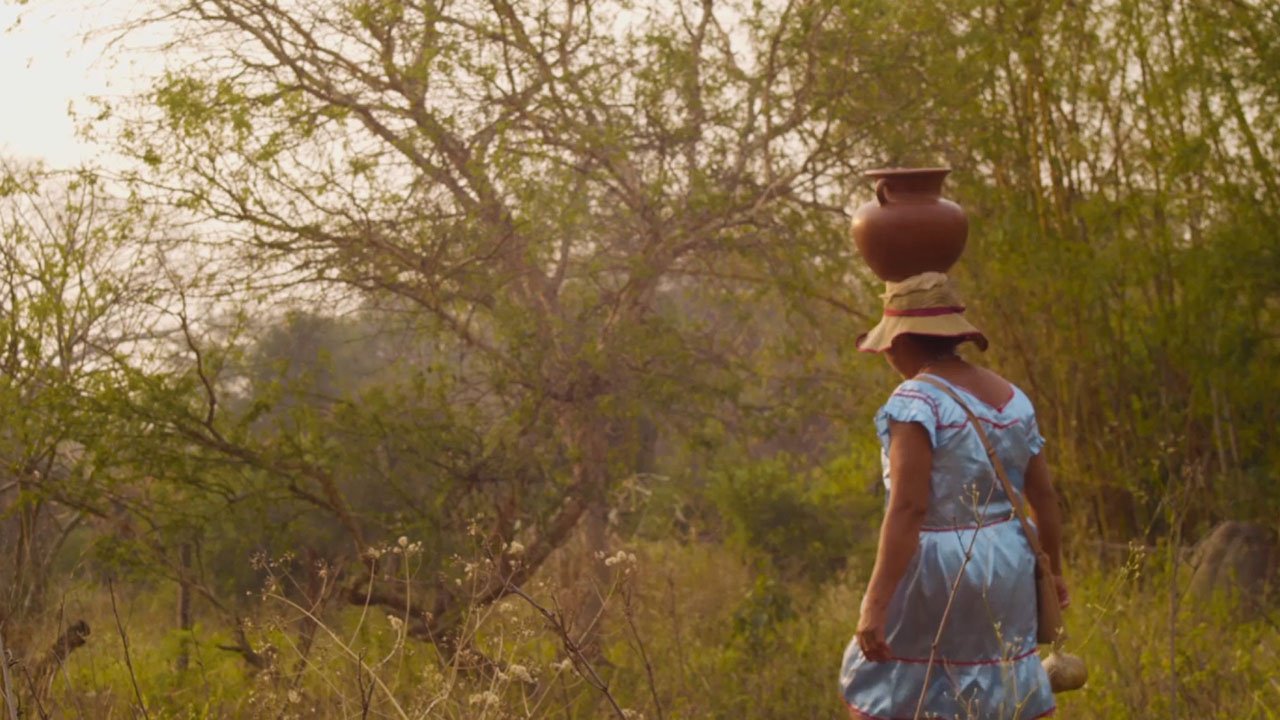 Jichi: en busca del guardián de las aguas Jichi: en busca del guardián de las aguas