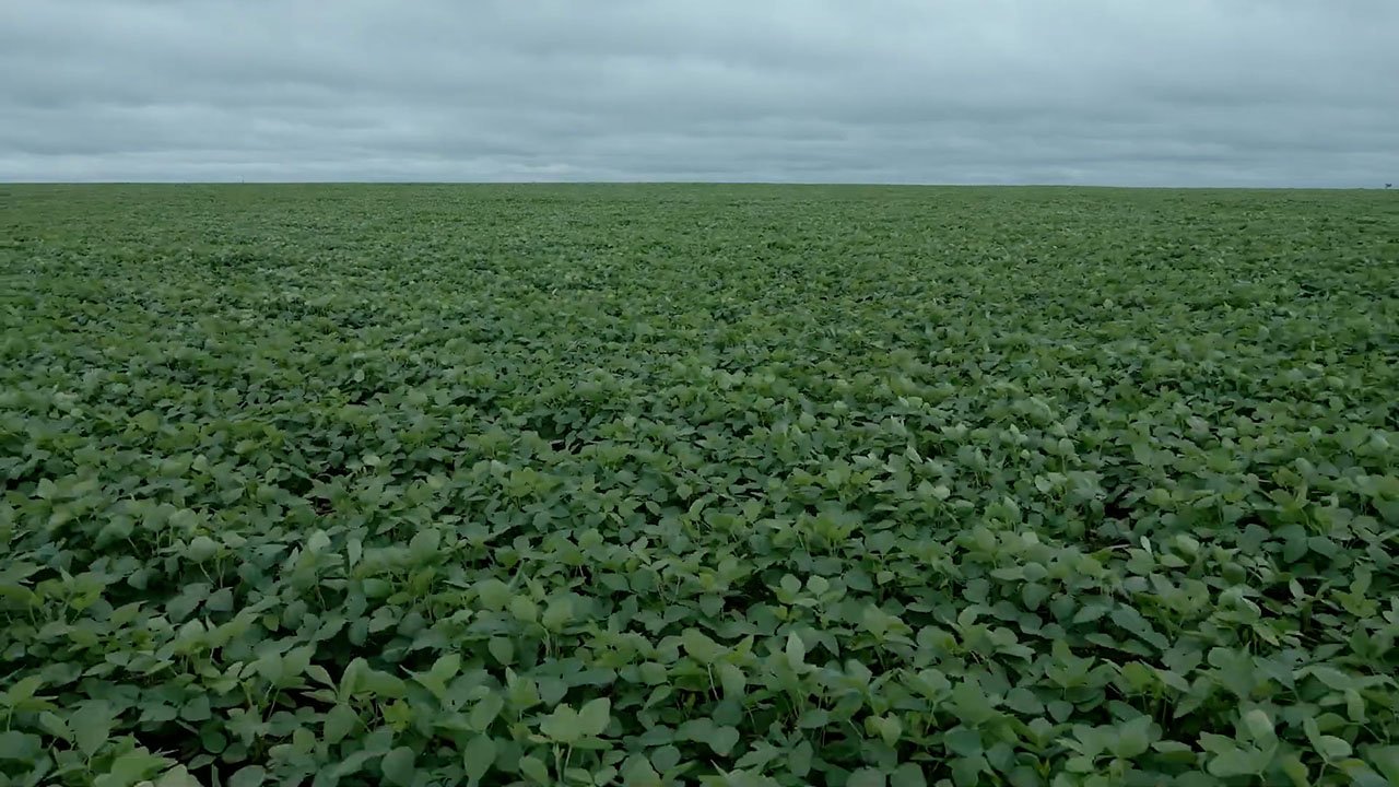 Por la tierra Por la tierra