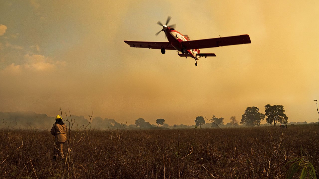 Sinfonia da Sobrevivência