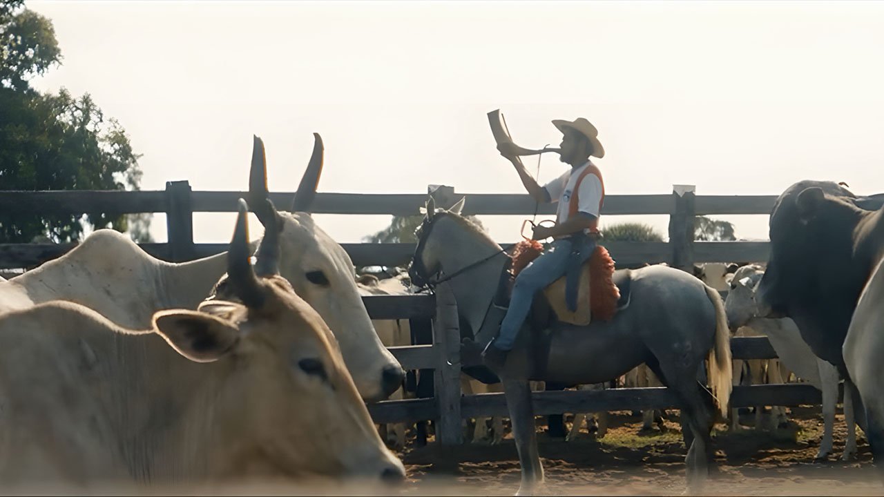 A última porteira A última porteira