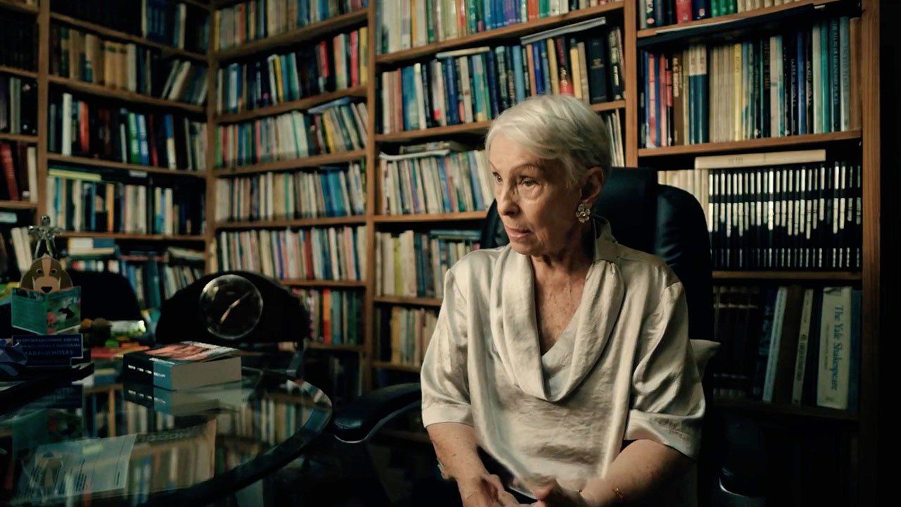 Jardim de Pedra - Vida e Morte de Glauce Rocha Jardim de Pedra - Vida e Morte de Glauce Rocha