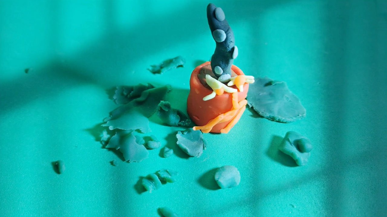 FLORESTA E TRANSFORMAÇÃO FLORESTA E TRANSFORMAÇÃO