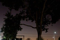 2025-07-31-cine-bonito-bom-viver-9