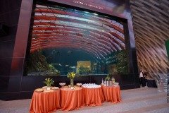 2025-06-06-lancamento-festival-cgr-3