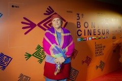 2025-07-27-mostra-sul-americana-1