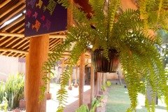 2025-07-26-sessao-infantojuvenil-05