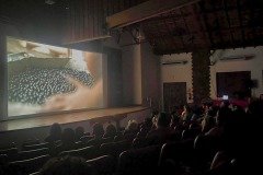 2025-08-01-sessao-especial-parte-1-4