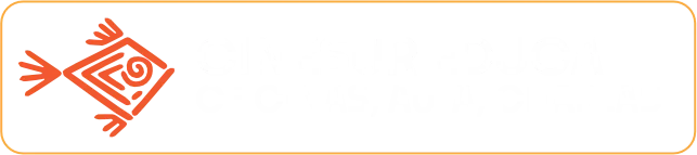 CineSur Educa - 4º Bonito CineSur (2026)